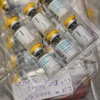 Indonesia confirma primer caso de viruela símica
