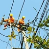 Reafirman suministro seguro de energía en Hanoi durante asueto por Día Nacional