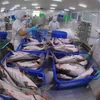 Cae la exportación vietnamita de camarones y sube la del pescado Tra