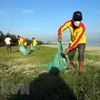 Vietnam toma medidas drásticas para abordar los desechos plásticos