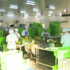 Provincia vietnamita de Quang Ninh por ampliar producción agrícola orgánica