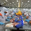 Estados Unidos mantiene tasa del impuesto antidumping para pescados vietnamitas