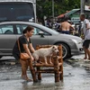  Tifón Noru deja saldo preliminar de cinco muertos en Filipinas