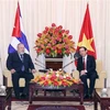 Buscan fomentar cooperación entre Cuba y Ciudad Ho Chi Minh en sectores potenciales