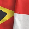 Indonesia y Timor Leste por establecer una zona de cooperación económica 