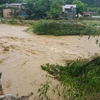 Vietnam intensifica gestión del riesgo de desastres naturales