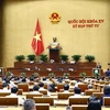 Interpelará Parlamento vietnamita gestión de informaciones en redes sociales