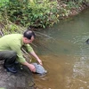 Liberan en Vietnam 112 animales salvajes raros al hábitat natural 