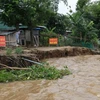 Ciudad Ho Chi Minh identifica 32 sitios vulnerables a deslizamientos de tierra