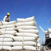Consolida Filipinas papel como mayor importador de arroz vietnamita
