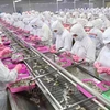 Aumentan exportaciones vietnamitas de productos acuáticos a China 