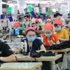 Provincia vietnamita de Dong Nai busca atracción selectiva de inversión extranjera