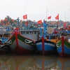 Provincia vietnamita promueve cambio en conciencia para luchar contra la pesca ilegal