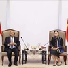 Dirigentes parlamentarios de Indonesia desean promover cooperación integral con Vietnam