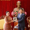 Promueven reapertura de rutas aéreas directas entre Da Nang y Camboya