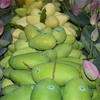 Vietnam, tercer mayor proveedor de mango de Corea del Sur