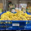 Frutas vietnamitas penetran en mercado japonés 