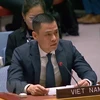 Vietnam pide a países miembros cumplir la Carta de ONU y el derecho internacional 