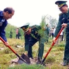Lanzan en zona fronteriza vietnamita movimiento de siembra de árboles