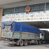 Exportadoras vietnamitas de materiales medicinales a China necesitan registro