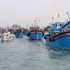 Pescadores vietnamitas se esfuerzan por el levantamiento de “tarjeta amarilla”