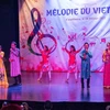 Particularidades culturales de Vietnam dejan impresión en Marruecos 