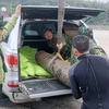 Desactivan bomba remanente de guerra en provincia vietnamita