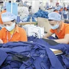 Sector textil de Vietnam por desarrollarse en 2023 