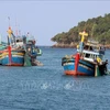 📝 Enfoque: Vietnam implementa drásticas medidas contra pesca ilegal