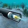 Se pondrán en funcionamiento más cables submarinos nuevos en Vietnam