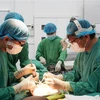 Doctores vietnamitas beneficiaron a muchos pacientes con trasplantes de órganos