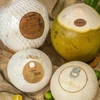 Exportaciones de coco de Vietnam superarán mil millones de dólares en los próximos años