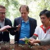 Expertos extranjeros inspeccionan cultivo de ginseng Ngoc Linh en Quang Nam