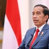 Jokowi: Cambio climático desencadena mayores preocupaciones que la pandemia