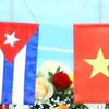 Celebran en Argentina encuentro amistoso Vietnam-Cuba