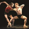 Estrenarán en Vietnam ballet inspirado en pintura folklórica