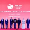 Vietnam asiste a Reunión de Altos Funcionarios de la ASEAN