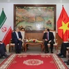 Vietnam e Irán por promover cooperación cultural, deportiva y turística