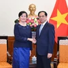 Canciller vietnamita recibe a nueva embajadora camboyana