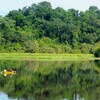 Efectúan en Hanoi foro por Día Internacional de los Bosques 