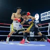 Boxeador vietnamita gana cinturón de WBA