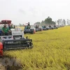 Promueven en Vietnam iniciativas agrícolas en adaptación al cambio climático