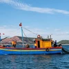 Provincia vietnamita de Nghe An controla estrictamente actividades de pesca ilegal