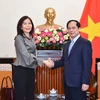 Canciller vietnamita recibe a coordinadora residente de ONU