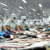 Empresas vietnamitas aprovechan subproductos del pescado Tra