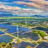 Vietnam se esfuerza por desarrollo de energía renovable
