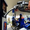 Prevén reajuste a la baja de precios de gasolina en Vietnam