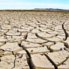 Pronostican que Tailandia enfrentará sequía severa este año