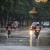 Región norteña de Vietnam registrará aire frío y lluvias 