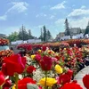 Inauguran mayor festival de rosas del noroeste en Vietnam